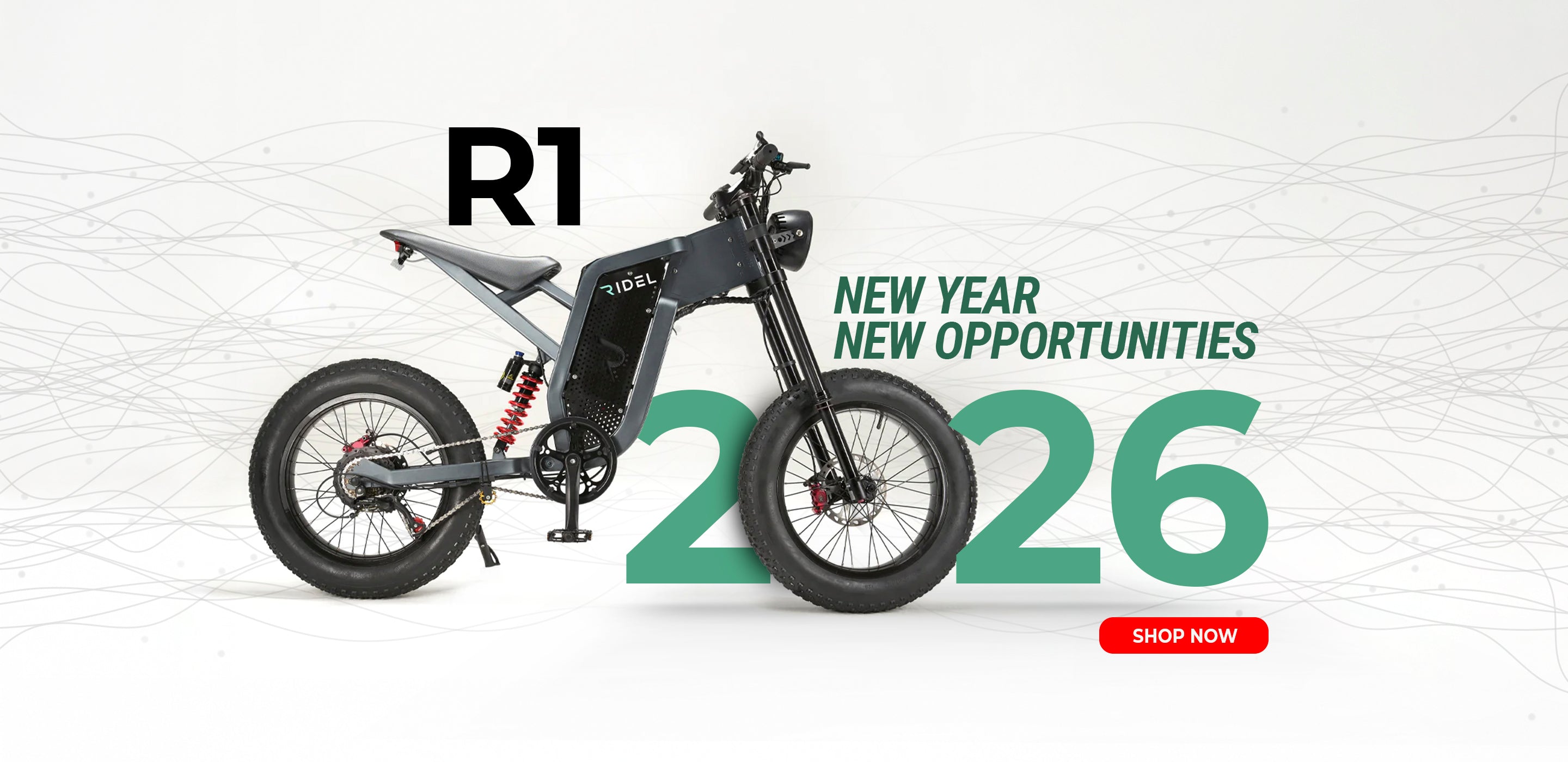 RIDEL Bikes - Electric Bike Company | Electric Bicycles Ridel Bikes LLC RIDEL Bikes - Electric Bike Company | Electric Bicycles Ridel Bikes LLC